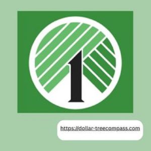 Profile photo of compass