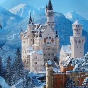 Profile photo of Ron