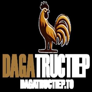 Profile photo of ĐÁ GÀ