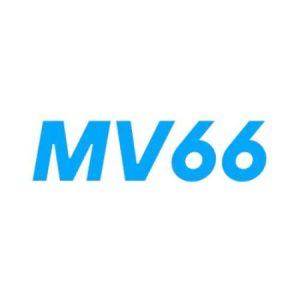 Profile photo of MV66