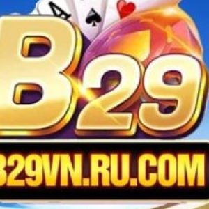 Profile photo of B29vn