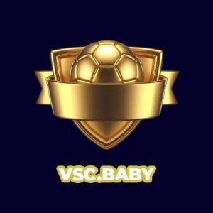 Profile photo of vsc
