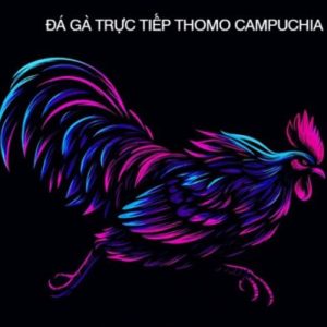 Profile photo of ĐÁ GÀ