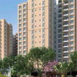 Profile photo of Brigade