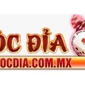 Profile photo of Trịnh Minh Đài