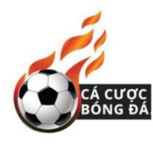 Profile photo of TrangCaCuoc