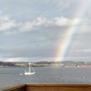 Profile photo of Vladimir