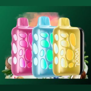 Profile photo of Vozol Rave 40000