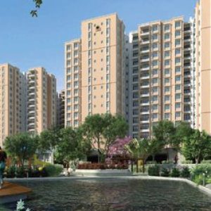 Profile photo of Prestige Palm