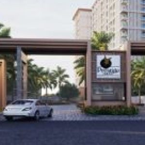 Profile photo of Prestige