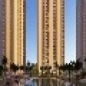 Profile photo of Auro