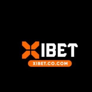 Profile photo of Xi Bet