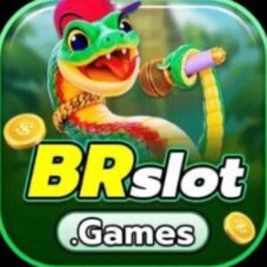 Profile photo of brslot