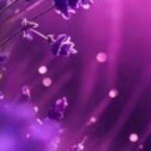 Profile photo of Linda