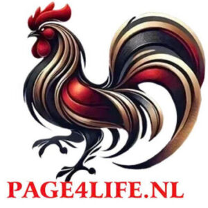 Profile photo of ĐÁ GÀ THOMO