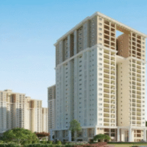 Profile photo of Godrej