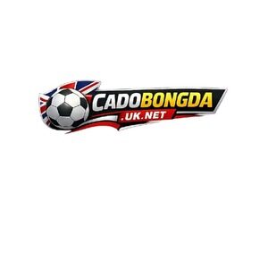 Profile photo of Cá Độ