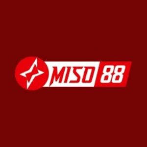 Profile photo of Miso88