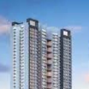 Profile photo of purva