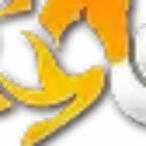 Profile photo of pcg trading