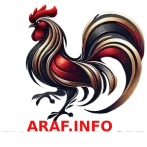 Profile photo of ĐÁ GÀ