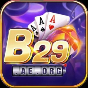 Profile photo of b29