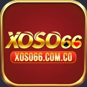 Profile photo of Xoso66
