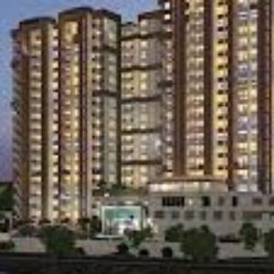 Profile photo of Purva