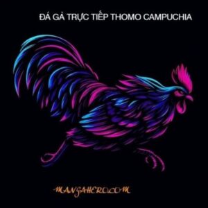 Profile photo of ĐÁ GÀ TRỰC