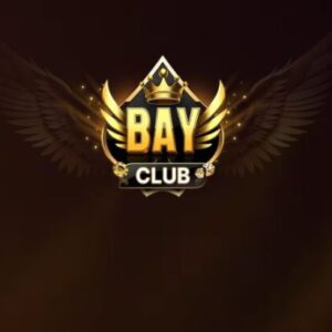 Profile photo of bay