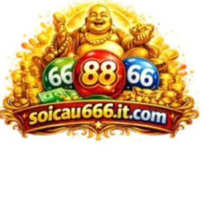 Profile photo of Sân Chơi