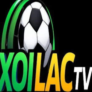 Profile photo of lytuongnet