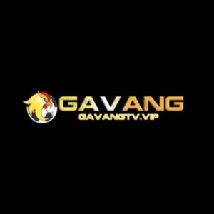 Profile photo of gavangtvvip