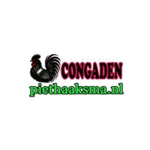 Profile photo of ĐÁ GÀ TRỰC