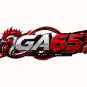 Profile photo of ga65uscom