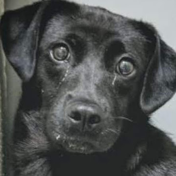 Profile photo of Parker Smith