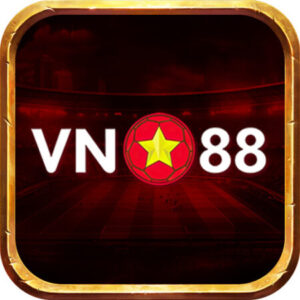Profile photo of VN