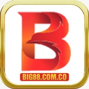 Profile photo of big88