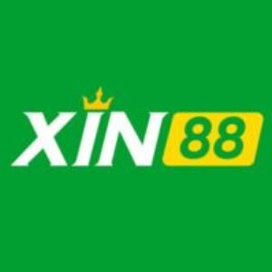 Profile photo of Xin888