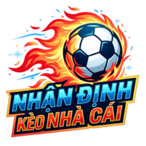 Profile photo of Nhận định