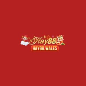 Profile photo of hay88