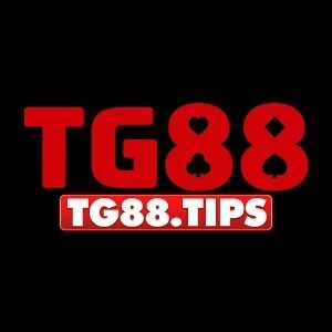 Profile photo of TG