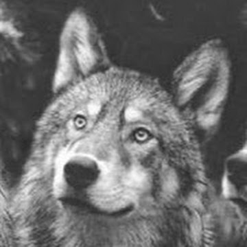 Profile photo of Kate White