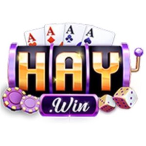 Profile photo of Haywin – Top 1 Cổng Game Đổi