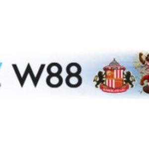 Profile photo of W88bd net