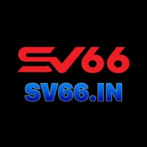 Profile photo of sv66