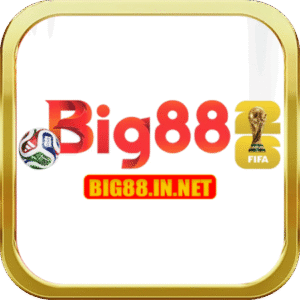 Profile photo of Big88