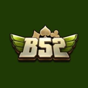 Profile photo of b52web