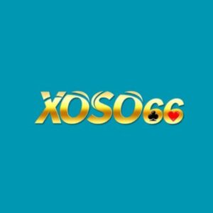 Profile photo of xoso66