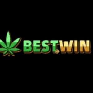 Profile photo of BestWin Casino